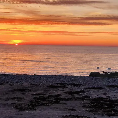 別荘 Der Am Meer, Reetdachhaeuschen フェーマルン